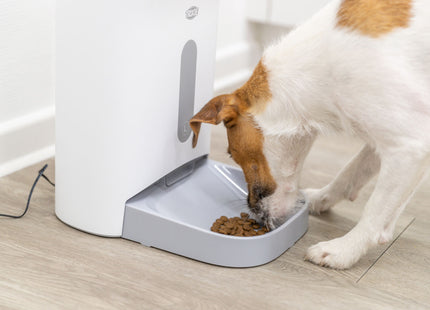 Automatischer Futterautomat für Haustiere in Weissgrau