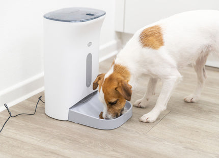 Automatischer Futterautomat für Haustiere in Weissgrau