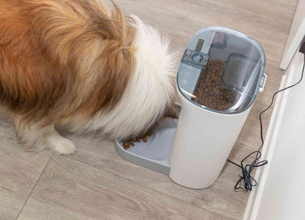 Automatischer Futterautomat für Haustiere in Weissgrau