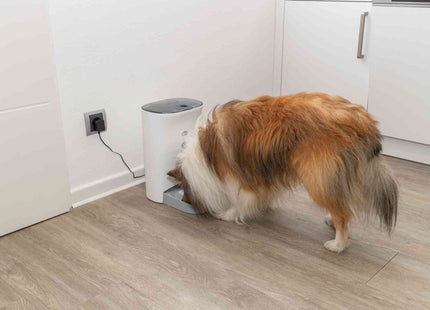 Automatischer Futterautomat für Haustiere in Weissgrau