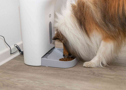 Automatischer Futterautomat für Haustiere in Weissgrau