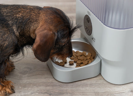 Automatischer Futterautomat für Haustiere in Hellgrau