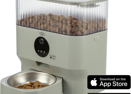 Automatischer Futterautomat für Haustiere in Hellgrau