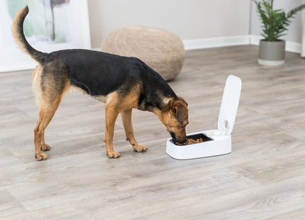 Trixie Futterautomat TX 1 einfach - praktischer Futterautomat für Haustiere