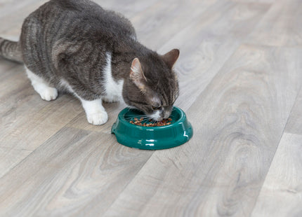 Trixie Katzennapf Kunststoff Ø 11 cm