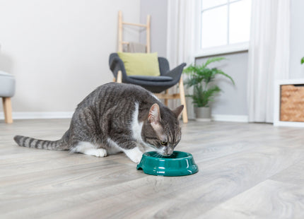 Trixie Katzennapf Kunststoff Ø 11 cm