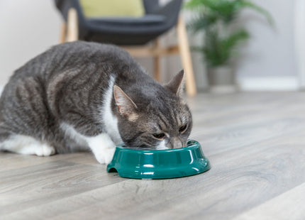 Trixie Katzennapf Kunststoff Ø 11 cm