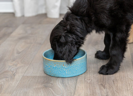 Keramiknapf in Blau für stilvolles Fressen und Trinken