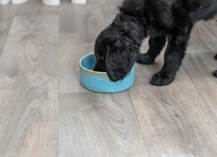 Keramiknapf in Blau für stilvolles Fressen und Trinken