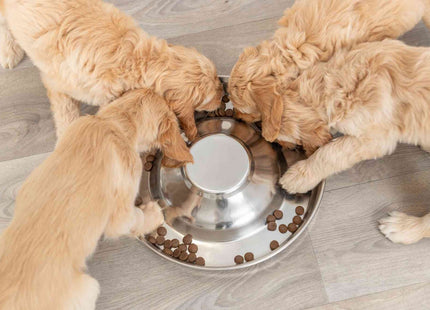Trixie Welpennapf aus Edelstahl mit einem Durchmesser von 38 cm