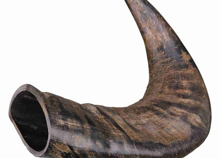 Natürliches Kauhorn vom Büffel für stundenlangen Kauspass