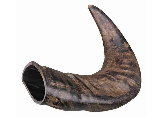 Natürliches Kauhorn vom Büffel für stundenlangen Kauspass