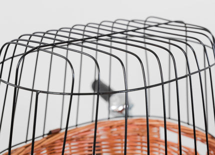 Fahrradkorb mit Gitter von Trixie