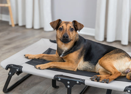 Gemütliche Hundeliege in Grau-Schwarz für entspannte Ruhephasen