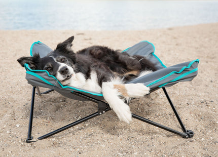Bequemes Campingbett für Hunde in Dunkelgrau-Petrol