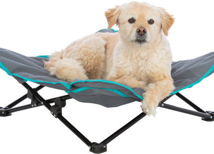 Bequemes Campingbett für Hunde in Dunkelgrau-Petrol