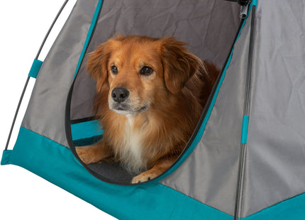 Gemütliches Zelt für Hunde in Dunkelgrau-Petrol, ideal für entspannte Ruhepausen