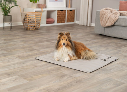 Stilvolle Reisedecke in Hellgrau mit Kunstlederbesatz von Trixie