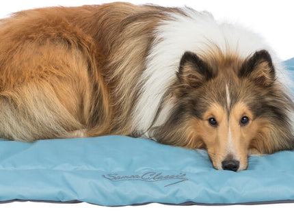 Gemütliche Reisedecke in Eisblaugrau für unterwegs