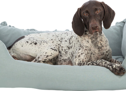 Schwarzer Hundepullover von Trixie - stilvoll und warm für deinen Vierbeiner