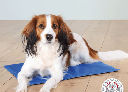 Kühlmatte in Blau für Haustiere von Trixie - ideal für heisse Tage!