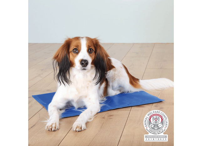 Kühlmatte in Blau für Haustiere von Trixie - ideal für heisse Tage!