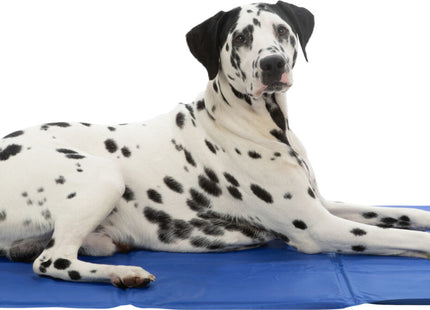 Kühlmatte in Blau für Haustiere von Trixie - ideal für heisse Tage!