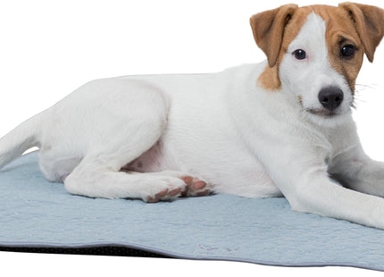 Bequeme Liegematte in frischem Minzgrün für kleine Haustiere