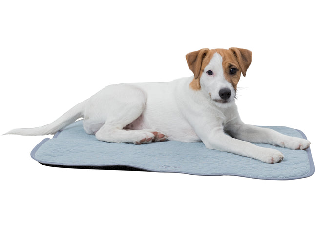 Bequeme Liegematte in frischem Minzgrün für kleine Haustiere