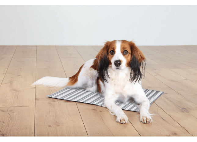 Kühlmatte in Weissgrau für Haustiere von Trixie - Erfrischung an heissen Tagen