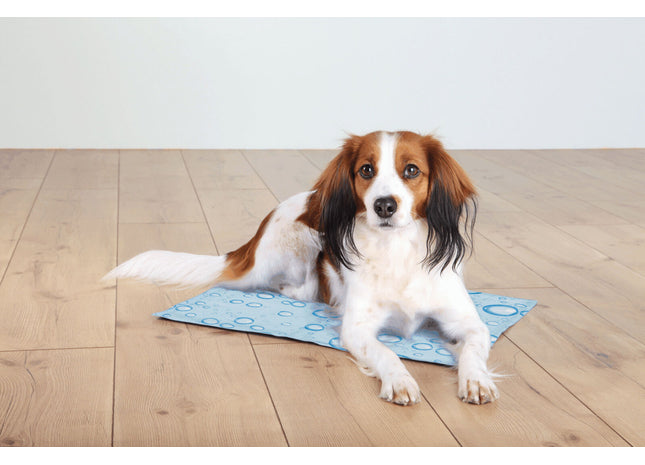 Kühlmatte in Hellblau für Haustiere - Entspannung und Kühlung an heissen Tagen