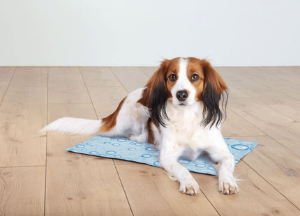 Kühlmatte in Hellblau für Haustiere - Entspannung und Kühlung an heissen Tagen