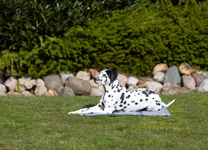 Kühlmatte für Haustiere in Soft Grau - Entspannung und Kühlung für dein Haustier