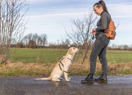 Rostfarbene Rolltop-Hüfttasche von Trixie - praktisch und stylisch unterwegs
