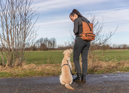 Rostfarbene Rolltop-Hüfttasche von Trixie - praktisch und stylisch unterwegs