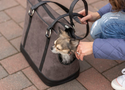 Praktische Trixie-Tasche in Grau für stilvolles Reisen mit Ihrem Haustier
