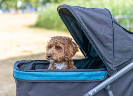 Leichter Trixie Buggy in Schwarz-Petrol für Hunde bis 12,5 kg