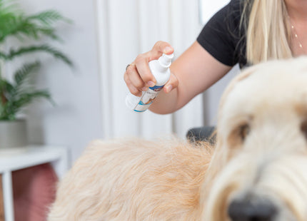 Trixie Entfilzungsspray 175 ml zur sanften Entwirrung von Tierfell