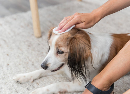 Trixie Universal-Pflegetücher, 30 Stk. - Reinigungstücher für Haustiere