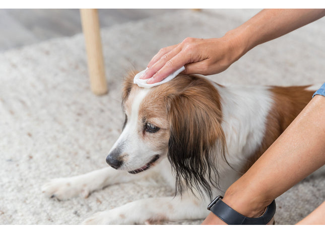 Trixie Universal-Pflegetücher, 30 Stk. - Reinigungstücher für Haustiere