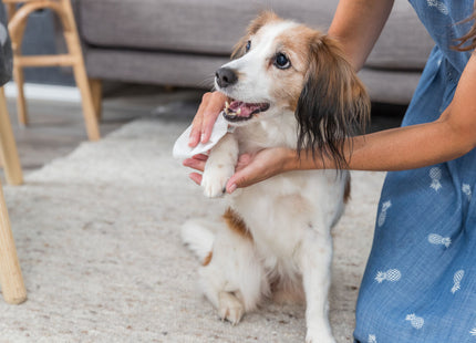 Trixie Universal-Pflegetücher, 30 Stk. - Reinigungstücher für Haustiere