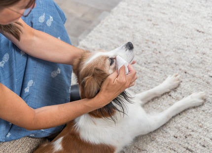 Trixie Pflegetücher für die Augen 30 Stk. - sanfte Reinigungstücher für Haustiere