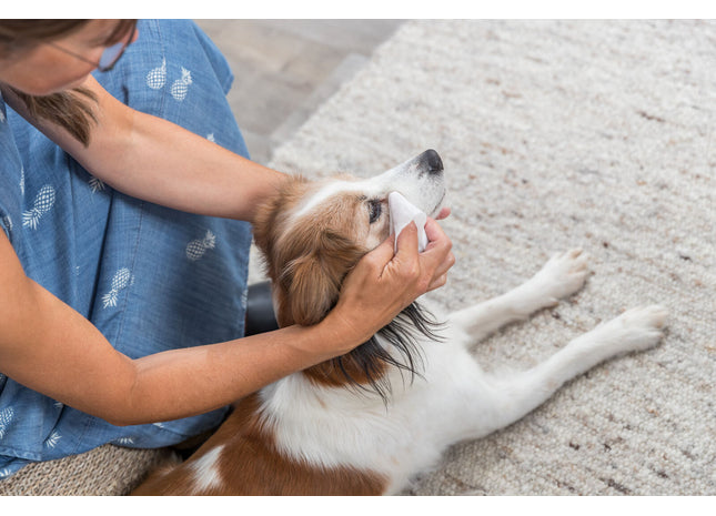 Trixie Pflegetücher für die Augen 30 Stk. - sanfte Reinigungstücher für Haustiere