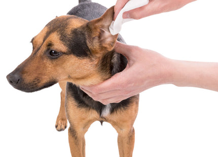 Trixie Pflegetücher Ohren 30 Stk