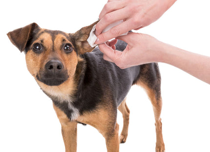 Trixie Pflegetücher Ohren 30 Stk