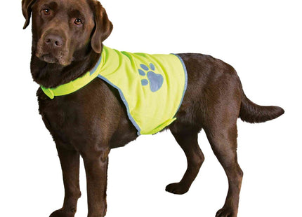 Trixie Sicherheitsweste für Hunde - Hochwertige reflektierende Weste für die Sicherheit Ihres Hundes bei Spaziergängen in der Dunkelheit