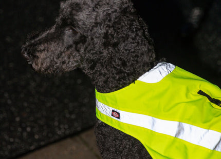 Sicherheitsweste für Hunde in leuchtendem Gelb