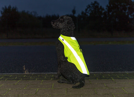 Sicherheitsweste für Hunde in leuchtendem Gelb