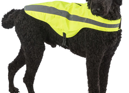 Sicherheitsweste für Hunde in leuchtendem Gelb