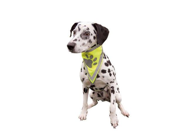 Trixie Sicherheits-Halstuch mit Reflektor für erhöhte Sichtbarkeit